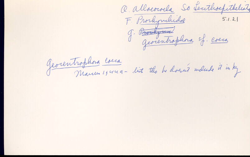 index card