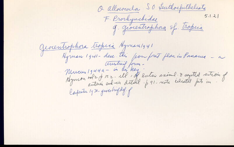 index card