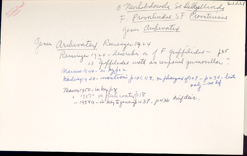 index card
