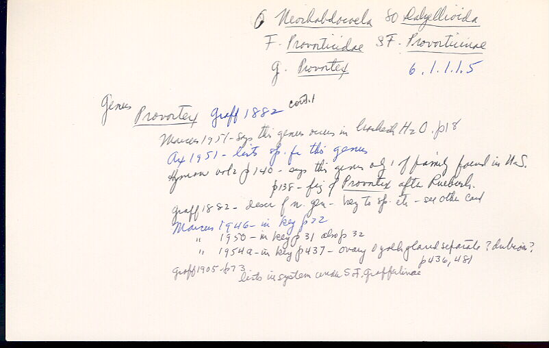 index card