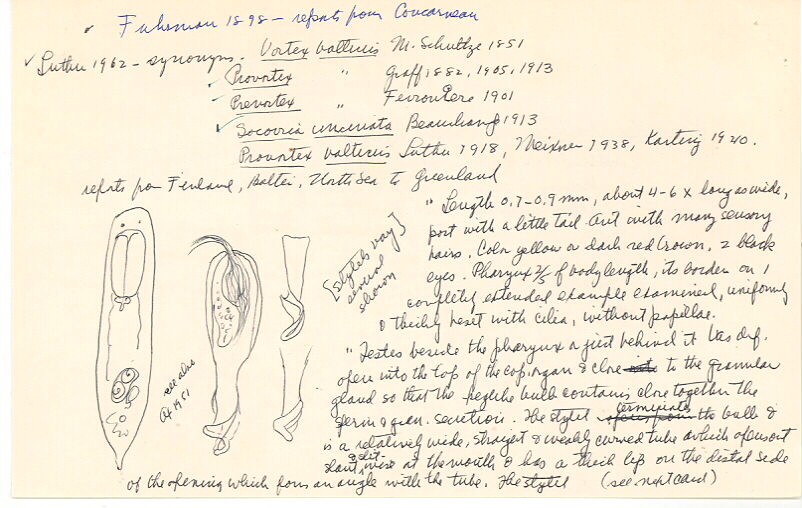 index card