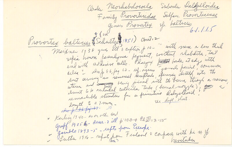 index card