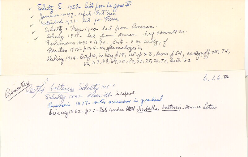 index card