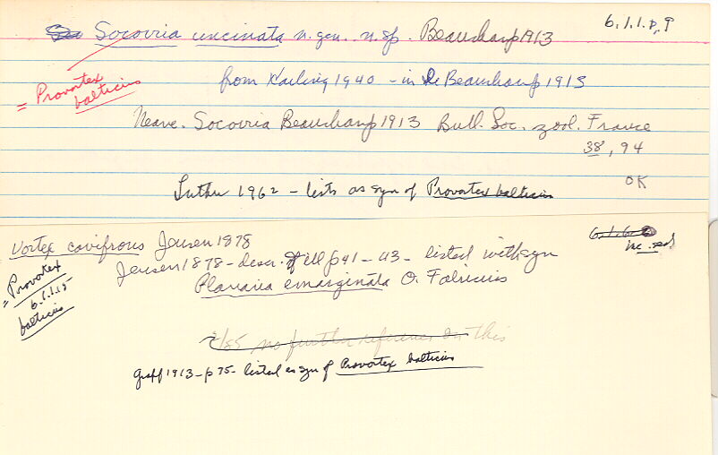 index card