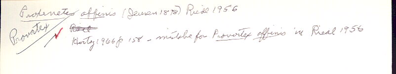 index card