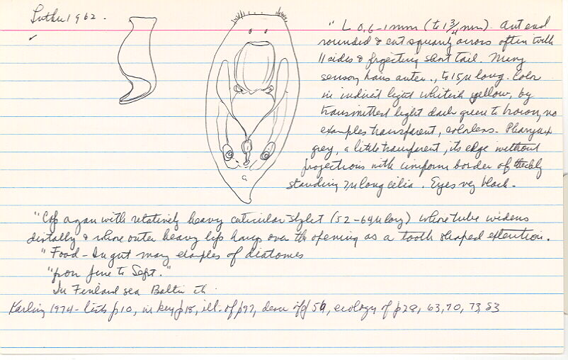 index card