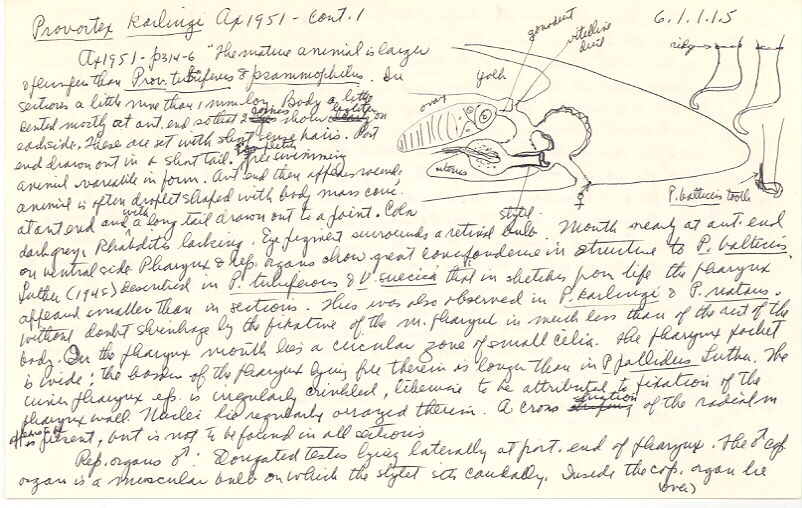index card