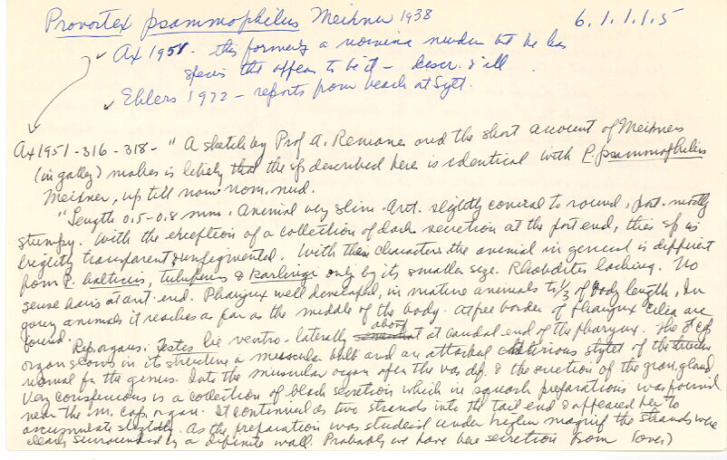 index card