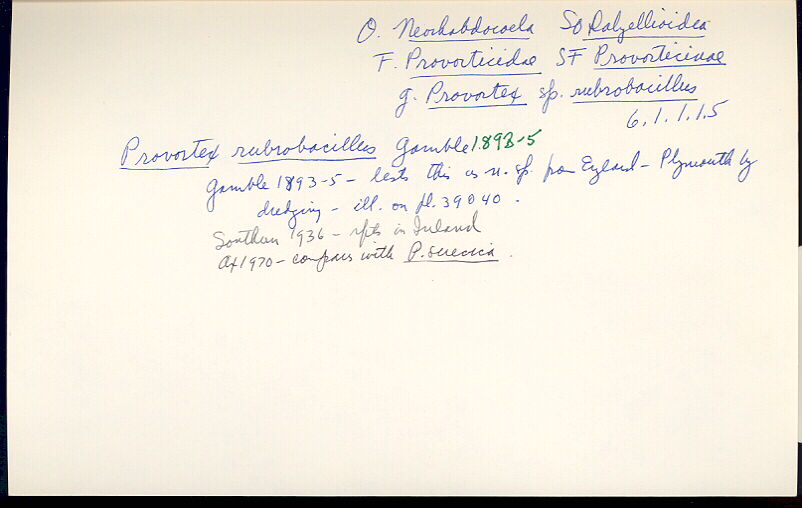 index card