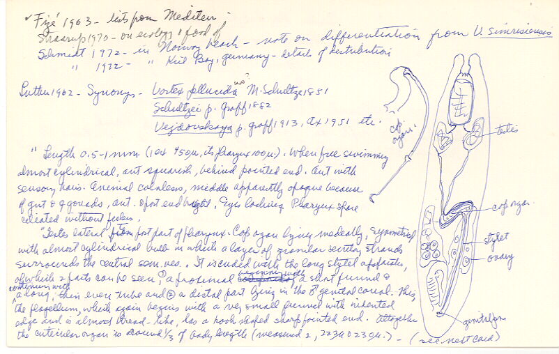 index card