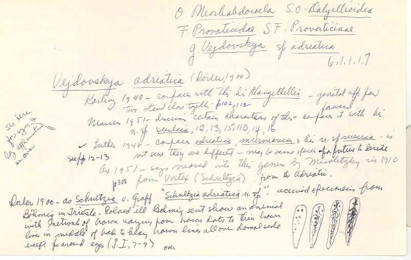 index card