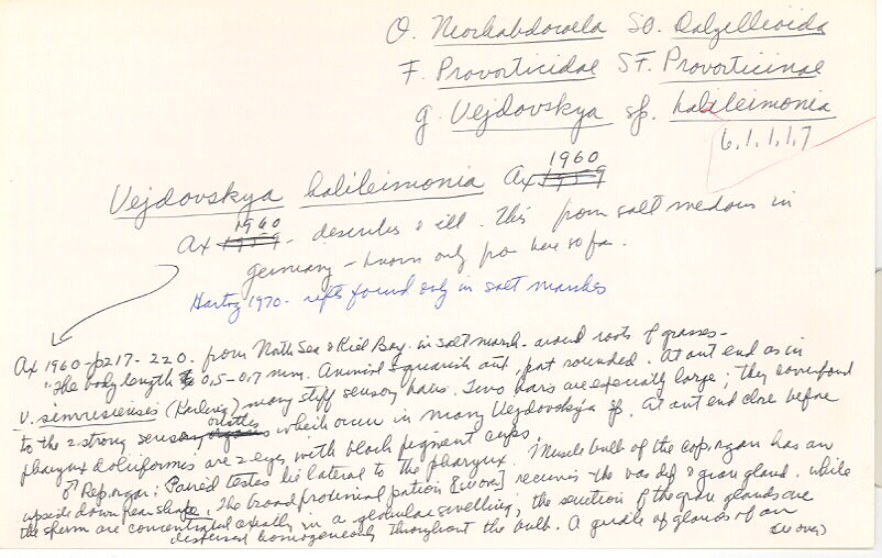 index card