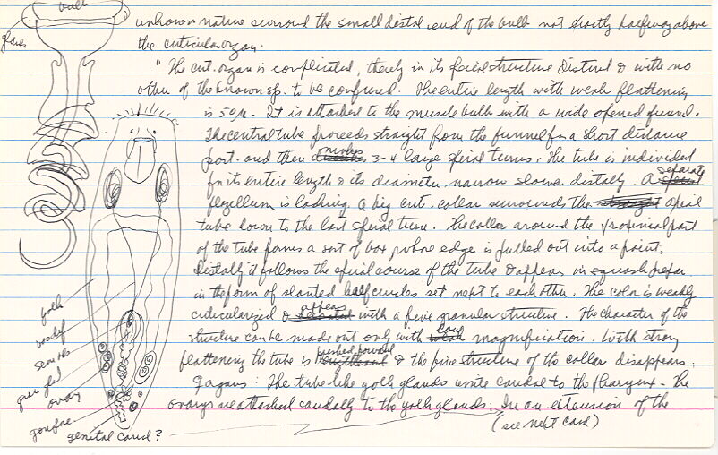 index card