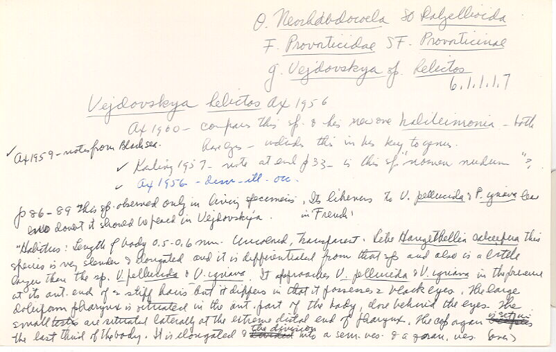 index card