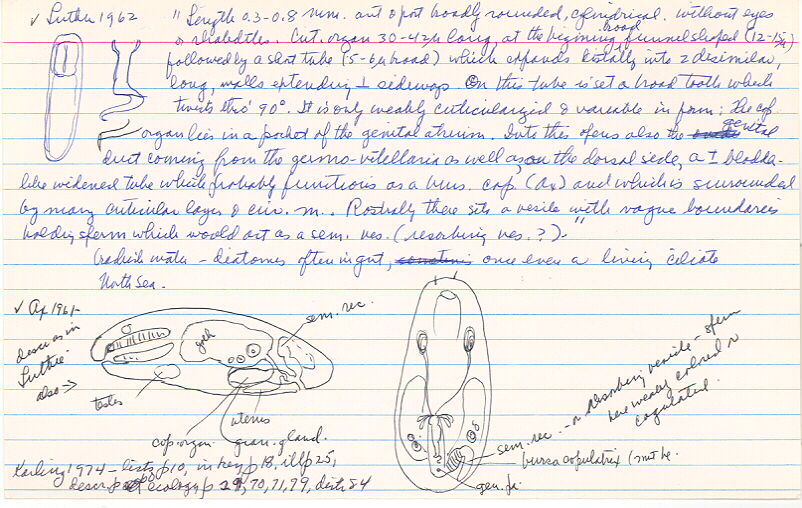 index card