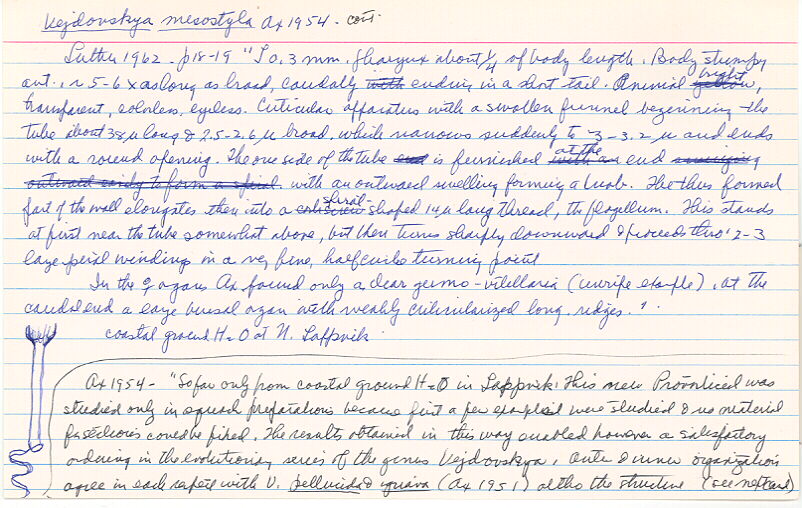 index card