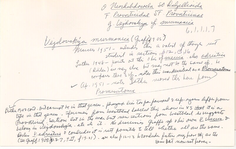 index card