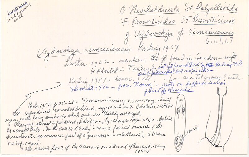index card