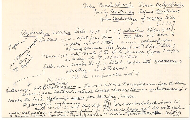 index card