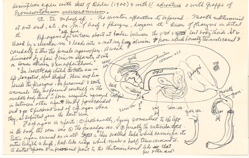 index card