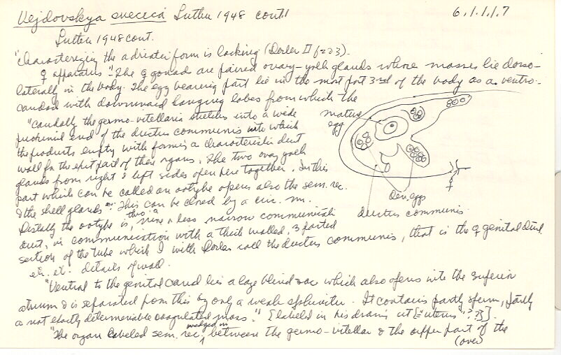 index card