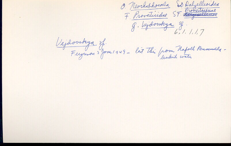 index card