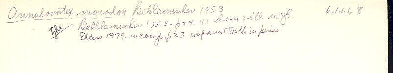 index card