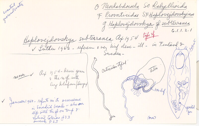 index card