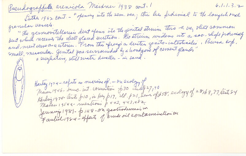 index card