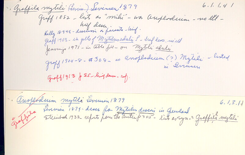 index card