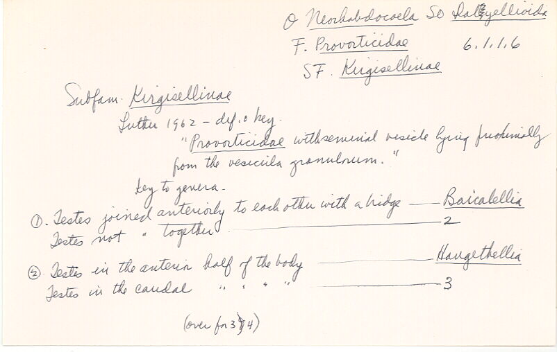 index card