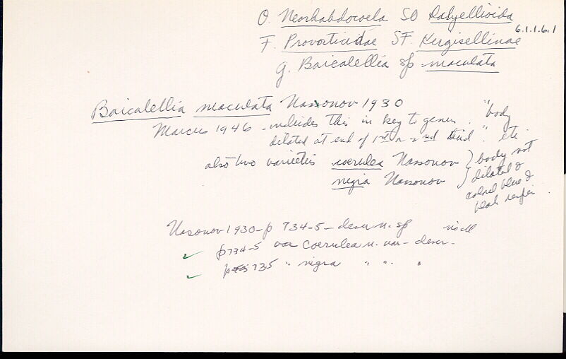 index card