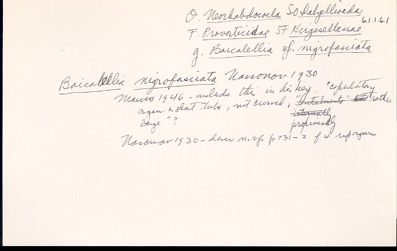index card