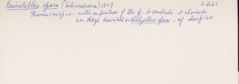 index card