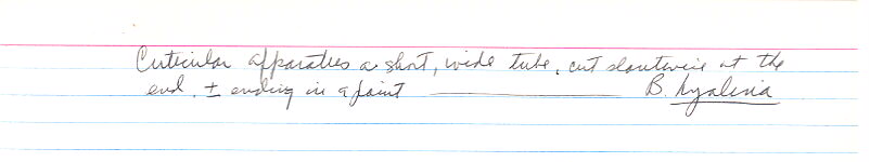 index card