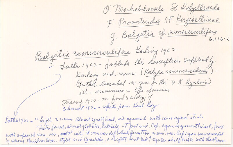 index card