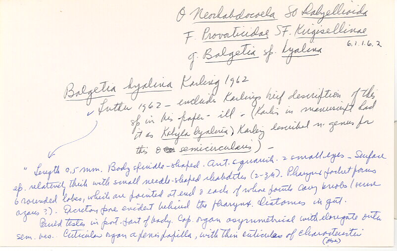 index card