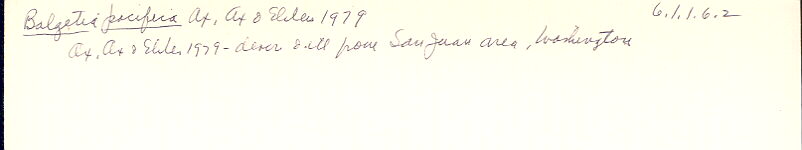 index card