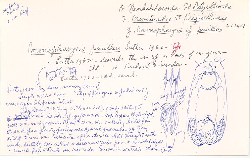 index card
