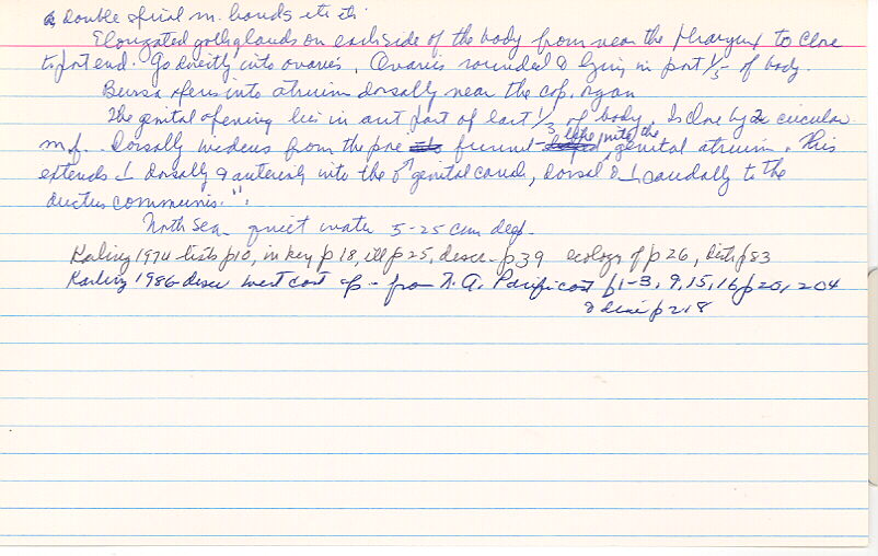 index card