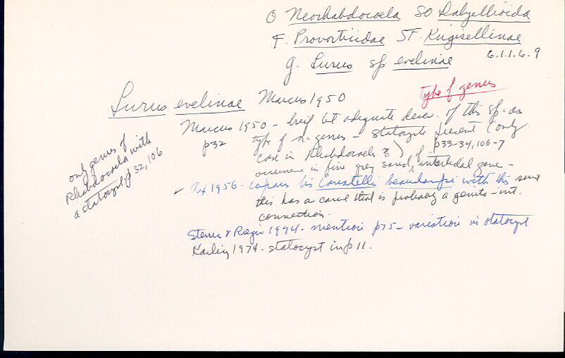 index card