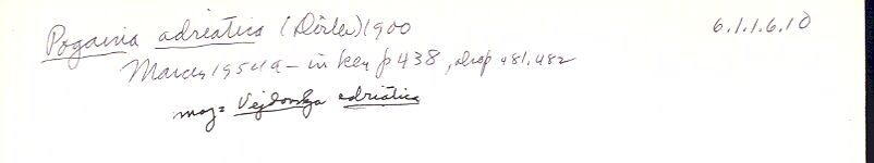 index card