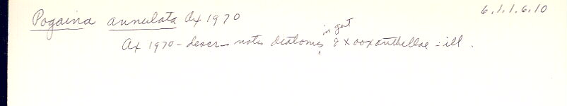index card
