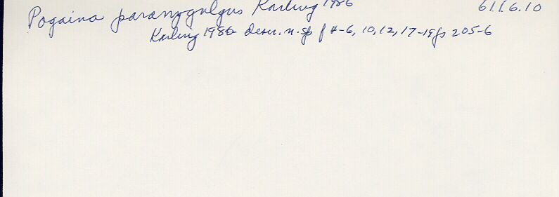 index card