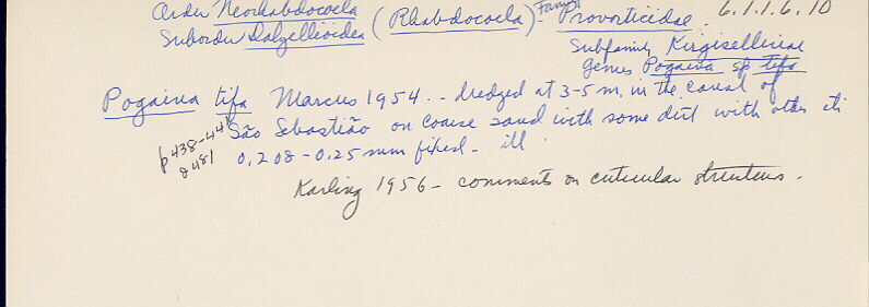 index card