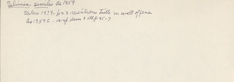 index card