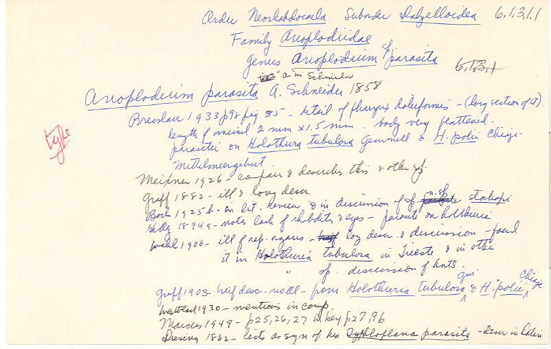 index card