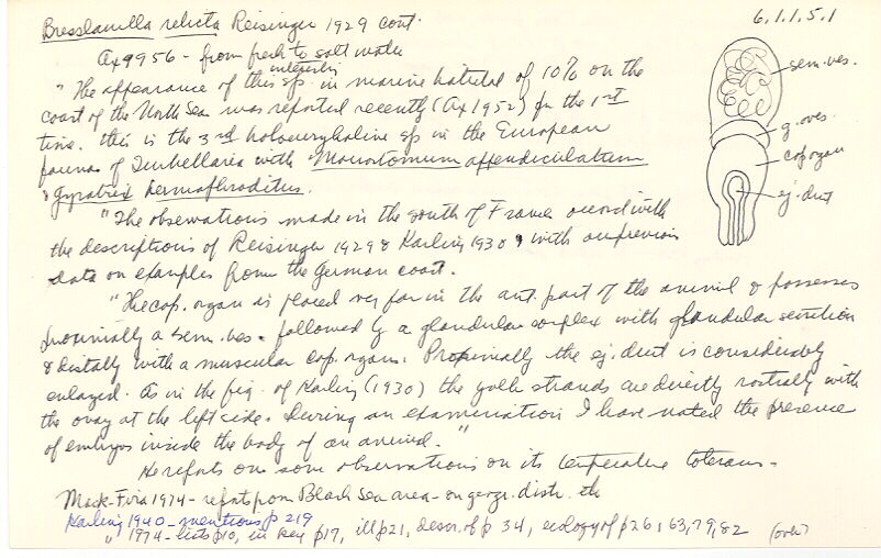 index card