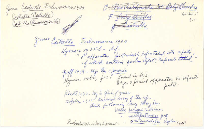 index card