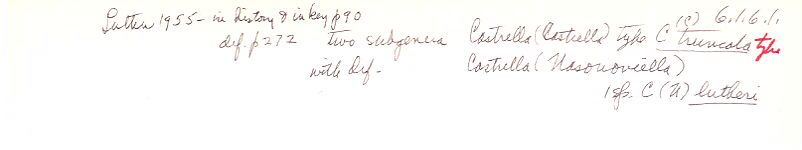 index card